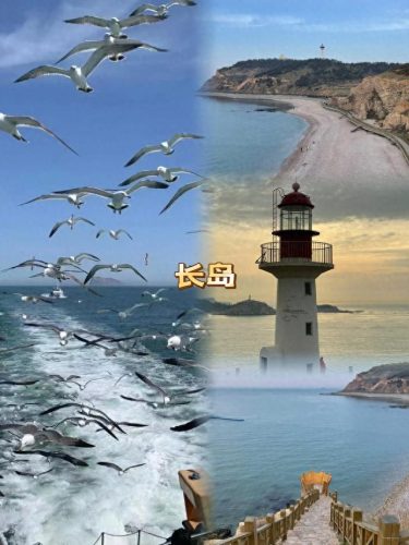 天津岛屿排名前十(天津哪个海岸最好)插图5