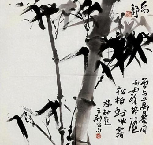 林妙可 隆胸(林妙可和杨沛宜长大后对比照片)插图6