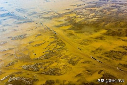 盐城水域排名前十(盐城市省内排名)插图60