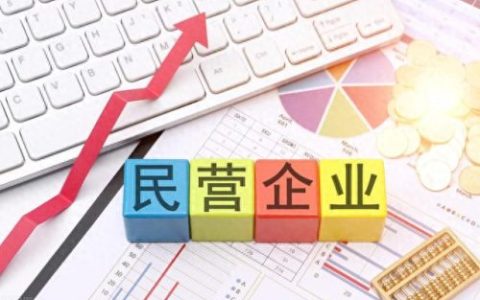 各省民营制造业排名前十(民营制造业排行榜)