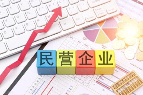 各省民营制造业排名前十(民营制造业排行榜)插图