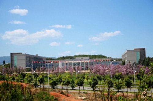 云南私立学校高中排名前十(云南省民办高中实力排名)插图6