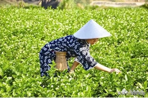 中国文化贸易产品排名前十(中国文化产品排行榜)插图4