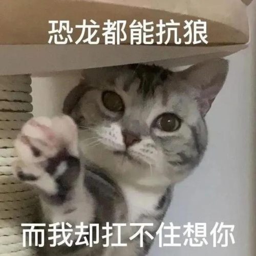 抖音的牛马是什么意思(抖音斑马什么意思)插图10