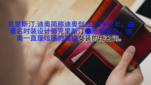 全球包包排名前十(美国十大品牌包包排名)插图1