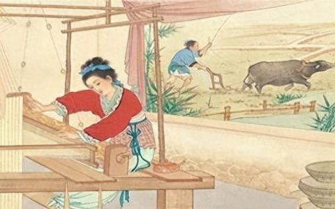 女红是什么(针黹女红的读音)