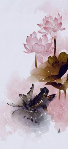 鱼鱼桌面秀(鱼鱼桌面秀侧边栏)插图75