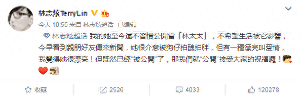 林志炫 老婆(林志炫的女友)插图2