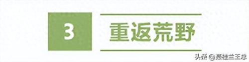 盐城水域排名前十(盐城市省内排名)插图44