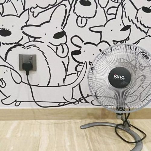 手绘墙画(网红墙100款)插图3