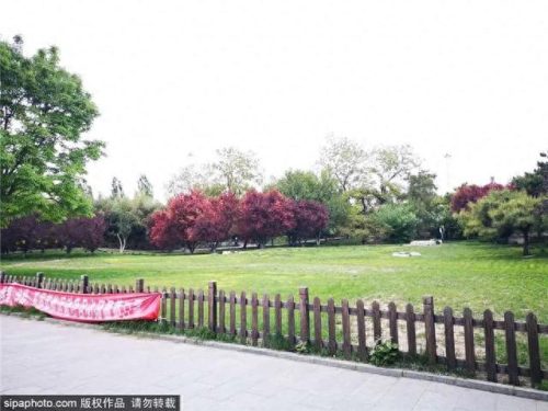 北京西城免费公园排名前十(北京最好免费公园)插图21