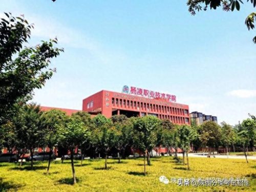 杨凌职业技术学院自主招生(杨凌职业学院有前途吗)插图3