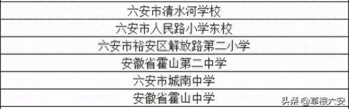 六安初中国际部排名前十(六安初中国际学校排名)插图2