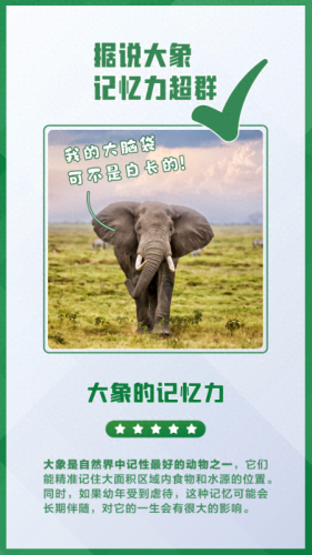 什么的大象(又什么又什么的大象)插图2