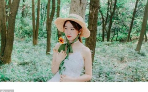 满庭芳李清照(满庭芳李清照全集)
