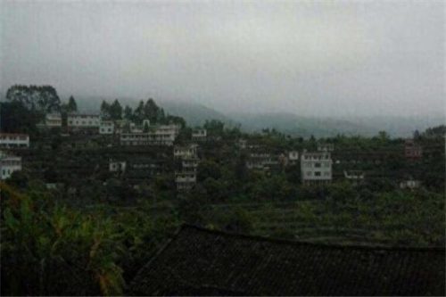 龙海乡村排名前十(厦门十大乡村排名)插图7