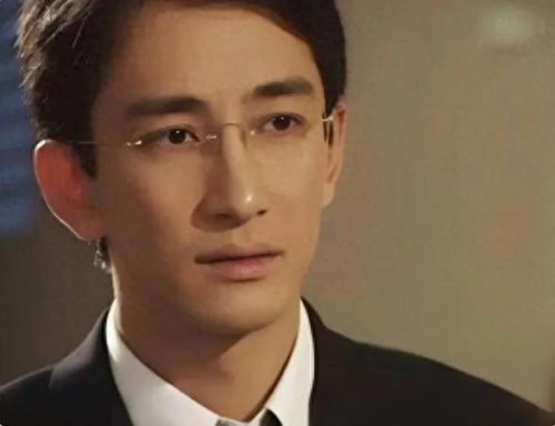 吴启华老婆石洋子(石洋子的现状)插图