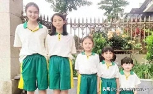 猪生八个小孩(八个小孩一头猪)插图5