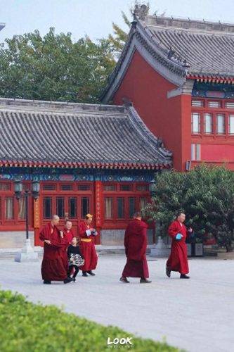 北京寺庙排名前十(北京寺庙排名一览表)插图37