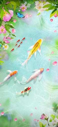 鱼鱼桌面秀(鱼鱼桌面秀侧边栏)插图110