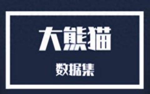 熊猫与傻瓜歌曲链接(熊猫与傻瓜的歌名)