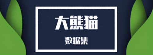 熊猫与傻瓜歌曲链接(熊猫与傻瓜的歌名)插图