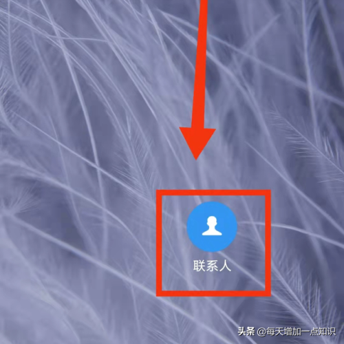 小米联系人头像包(小米头像图片)插图