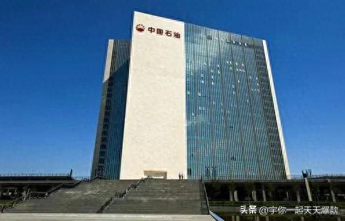 亚洲跨国大公司排名前十(中国第一个跨国大公司)插图8