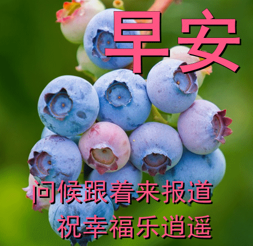 心存感恩图片(感恩图片)插图34