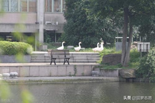 二本大学排名前十的学校(410分能上的二本大学排名)插图4