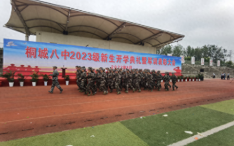 桐城市八中(桐城八中喜报2023)