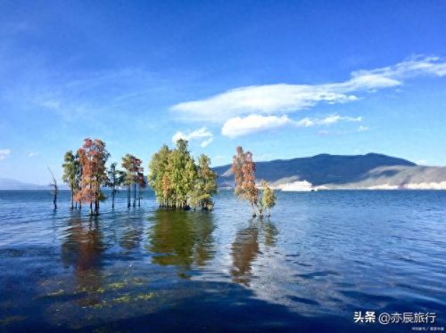 丽江旅游排名前十(丽江游玩的景点排名前十)插图20