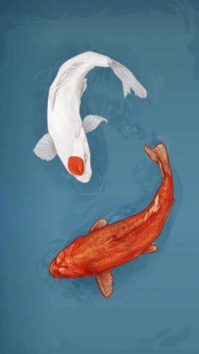 鱼鱼桌面秀(鱼鱼桌面秀侧边栏)插图81