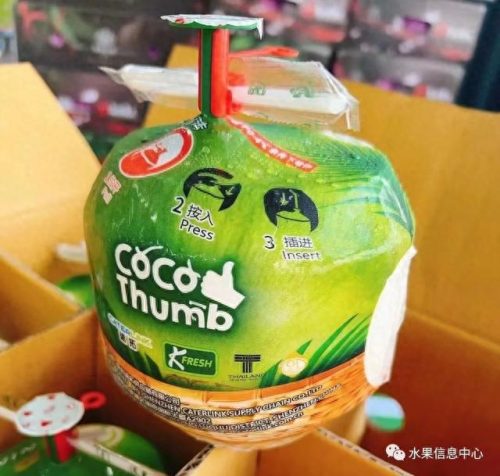 椰子品牌排名前十(椰子鞋品牌的代工厂)插图6