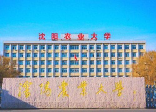 沈阳院校排名前十(沈阳考研培训机构排名)插图4