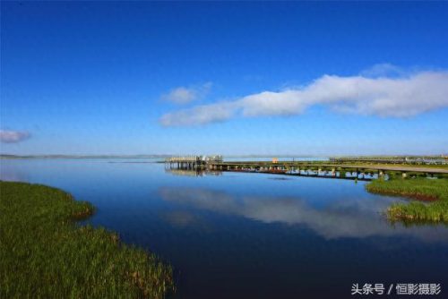 蓝蓝天青青草(青青柳叶蓝蓝天)插图4