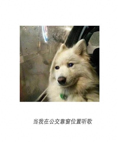 听音乐图片(听歌图片大全唯美)插图3