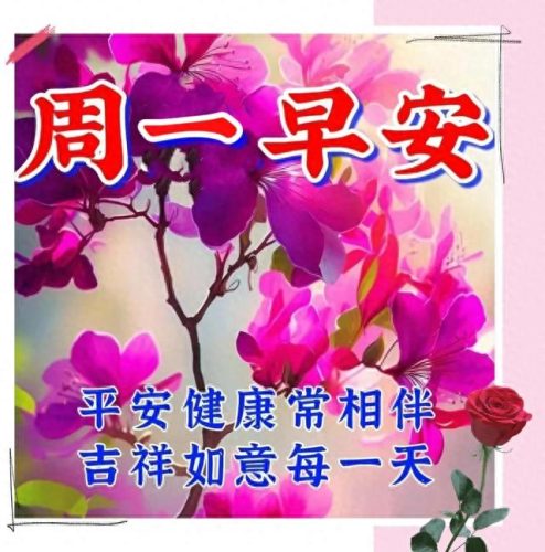 心存感恩图片(感恩图片)插图14