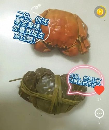 乔乔 爱不分(爱不分乔乔资料)插图4