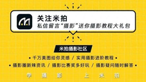 如花图片(如花微信头像)插图9