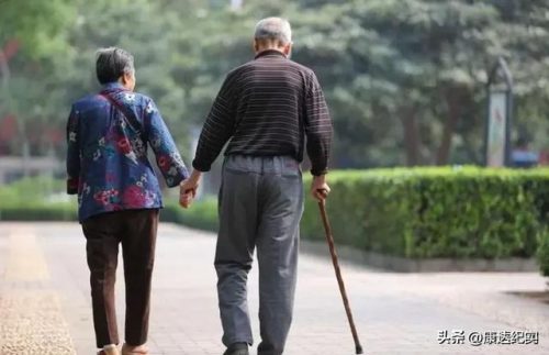 十二楼的爱情(95年属猪女住十二楼好吗)插图4