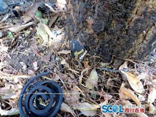 凉山薄板厂商排名前十(国内生产薄板的厂家)插图13