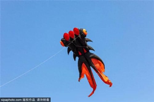 北京西城免费公园排名前十(北京最好免费公园)插图22
