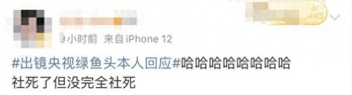 出镜央视绿鱼头本人回应(绿鱼头真实事件)插图5