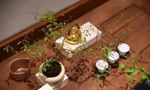 永康茶馆排名前十(永康长城附近茶馆)插图16