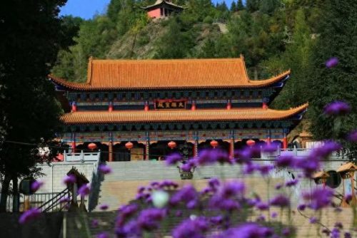 金昌烤全羊排名前十(烤一只全羊大概多少钱)插图20