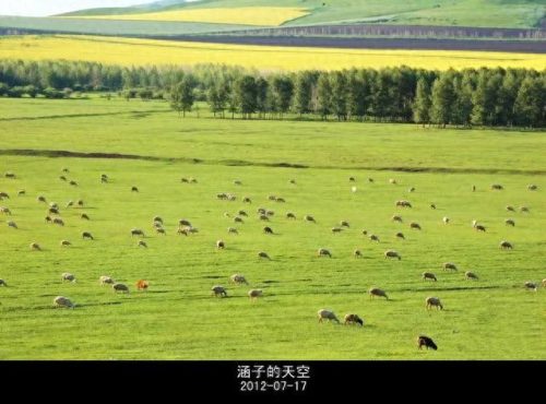 草原图片(草原美图)插图54