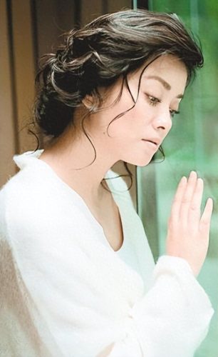 毛阿敏简历(毛阿敏结过几次婚几个孩子)插图