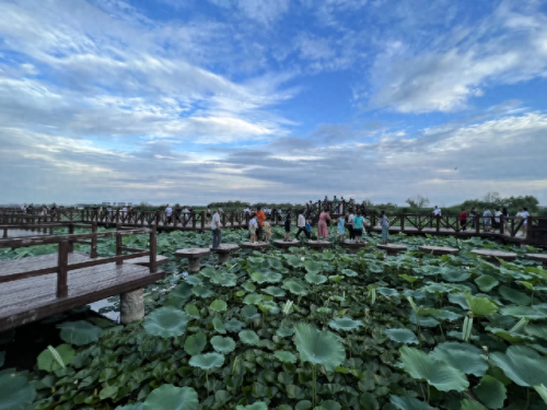 周口景区排名前十(周口5a景点)插图3