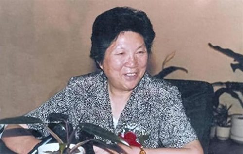 陈慕华的丈夫(陈诚是陈慕华什么人)插图12